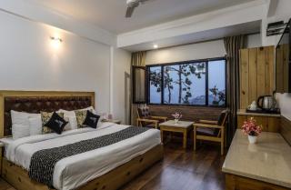 The Mountain Quail - Mussoorie - 4
