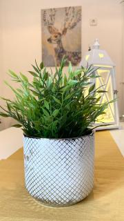 Happy Mammy Bababarát Vendégház Fészek utca - 9