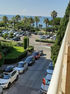 Le chèvrefeuille - Saint-Raphaël - 0