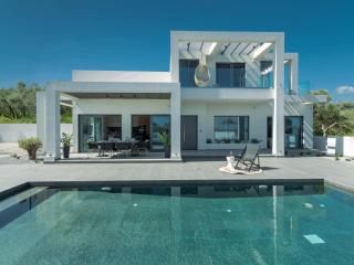 ELYSIAN VILLA - Amoudi - 3