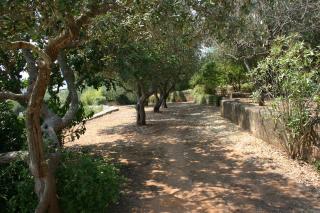 appartamento in villa fortunata 1 - Tricase - 9