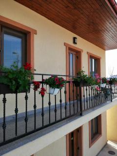 Pensiunea Corina Tulcea - Tulcea - 5