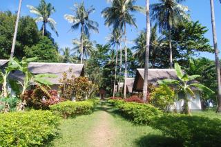 Lanta Coral Beach Resort - Ko Lanta - 0