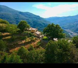 Elsa House - Mezzanego - 9