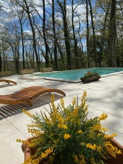 Villa La Casa Bianca - Podere Pian Mucini - 7