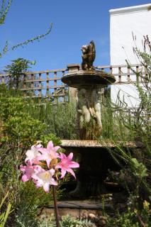 Fynbos Ridge Country House & Cottages - Plettenbergbaai - 5