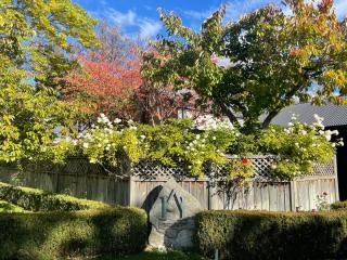 Arrowtown House Boutique Hotel - Arrowtown - 0