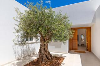 Villa Magdala - Portopetro - 8