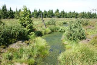 Ferienhaus Schelle - 2