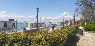 BIENNALE FLAT IN GIARDINI - 5