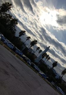 Hotel La Palazzina - San Benedetto del Tronto - 3