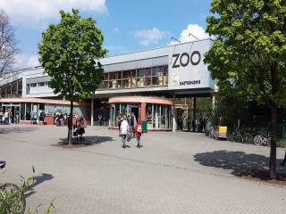 FeWo 2,4,5,6 Altstadt - Am grossen Garten - Dresden - 9