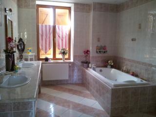 Villa Sainte Barbe - Mirecourt - 3