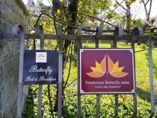 Butterfly B&B - Castrocaro Terme - 9