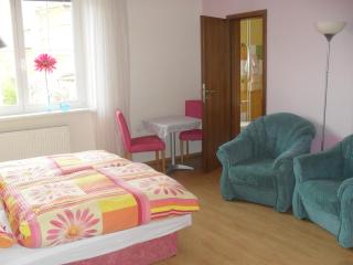 Pension Rak - Karlovy Vary - 8