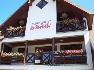 Pension Apartmány Sport Čermák - Harrachov - 9
