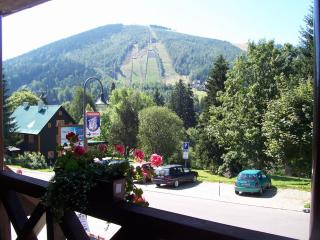 Pension Apartmány Sport Čermák - Harrachov - 6