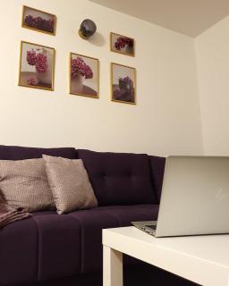 LILAC Apartment - Vrnjačka Banja - 8