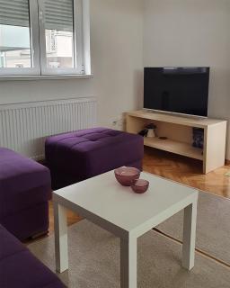 LILAC Apartment - Vrnjačka Banja - 7