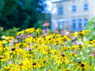 Gutshaus Landsdorf - 7