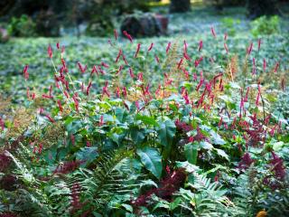 Gutshaus Landsdorf - 3