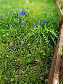 Gîte Les Anes de Medeina - 3