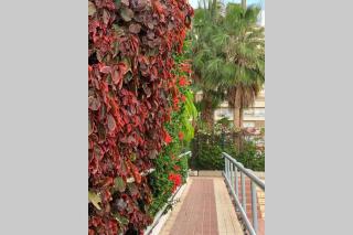 Jardines del Sur, Ocean View (Los Cristianos) - Buzanada - 3