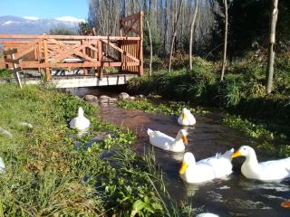 Cabañas Quijote - 2