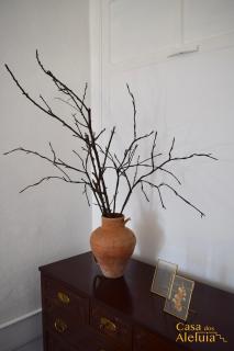 Casa dos Aleluia - 1