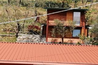 La Casetta di Molly tra ulivi e roseto - Leivi - 5