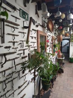 Casa Museo Jerez Centro - 2