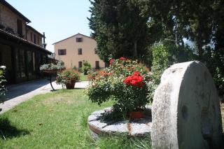 Agriturismo La Corte Sul Lago - Cingoli - 1