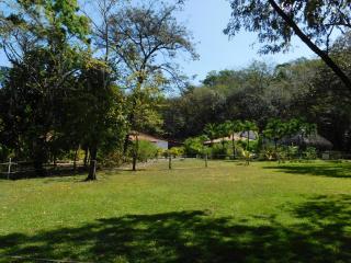 Villasjungle 1 - Sámara - 5