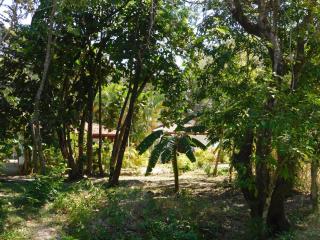 Villasjungle 1 - Sámara - 2