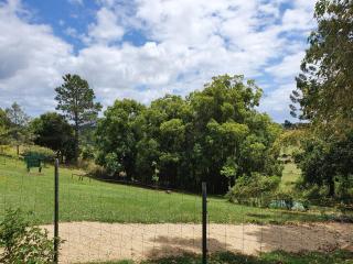 Tropical Coast Retreat - Pet Friendly - Adult only - Kingscliff - 9