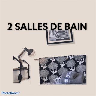 LES HORTENSIAS Spacieuse Maison en ardoise du pays FIBRE - Voutezac - 3