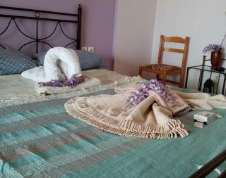 Afrodite Lefkimmi Apartment 1 - 9