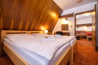 Vila Tereza - Špindlerův Mlýn - 9