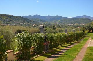 Villetta con giardino in contesto riservato non lontana dal mare BEL01 - Agrustos - 9