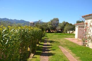 Villetta con giardino in contesto riservato non lontana dal mare BEL01 - Agrustos - 8