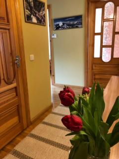 Pine Apartment - Šventoji - 0