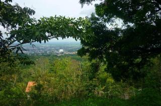 Kaliawiri Bird Lodge & reserve - Villavicencio - 2