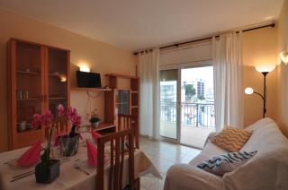 RNET - Sandra II C6 - Roses Santa Margarita - Roses - 6