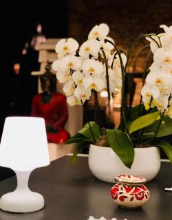 BEAUTIFUL PLACE WITH BREATHTAKING PRIVATE ROOFTOP TERRACE 210m2 IN CITY OF LOVE PARIS - 2