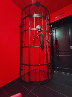 "DREAM ROOM" Тематические апартаменты Харьков! Цоколь! - 1