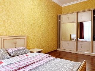 Classic apartment in Deribasovskay - Odessa - 8