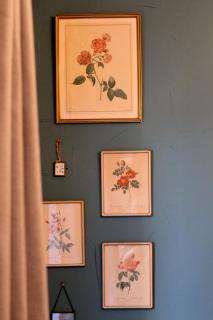 ✿ L'Escapade Occitane ✿(Occitan Getaway) - Arceaux - Montpellier - 6