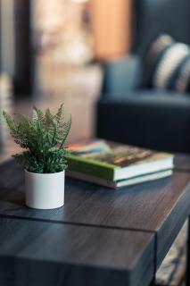 The Bivvi Hostel Telluride - 5