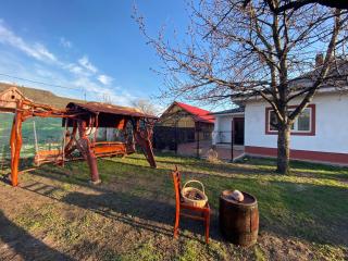 Casa Jeni - Humuleşti - 8