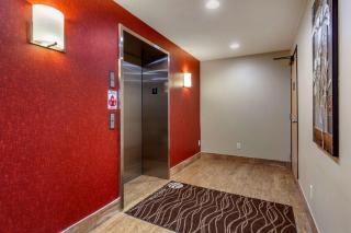 Comfort Inn Grand Island North - Grand Island - 6